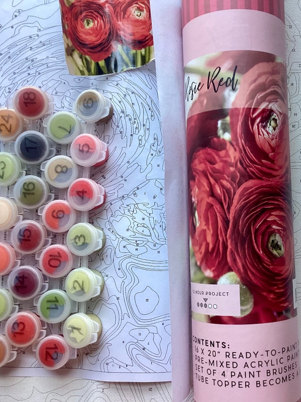 Pink Picasso Paint By Number Kit Rosie Red Floral 16x20” Canvas Ranunculus new